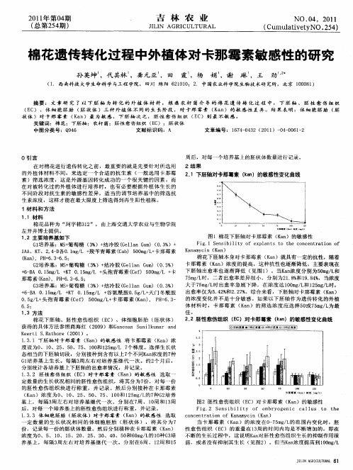 棉花遗传转化过程中外植体对卡那霉素敏感性的研究