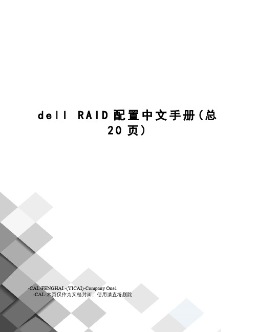 dellraid配置中文手册