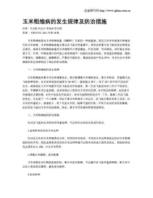 玉米粗缩病的发生规律及防治措施