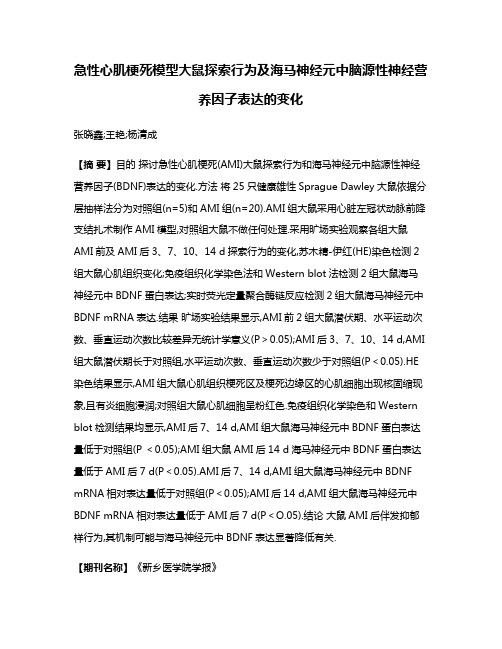 急性心肌梗死模型大鼠探索行为及海马神经元中脑源性神经营养因子表达的变化