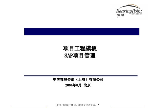 SAP项目管理系统功能与结构(ppt 61页)