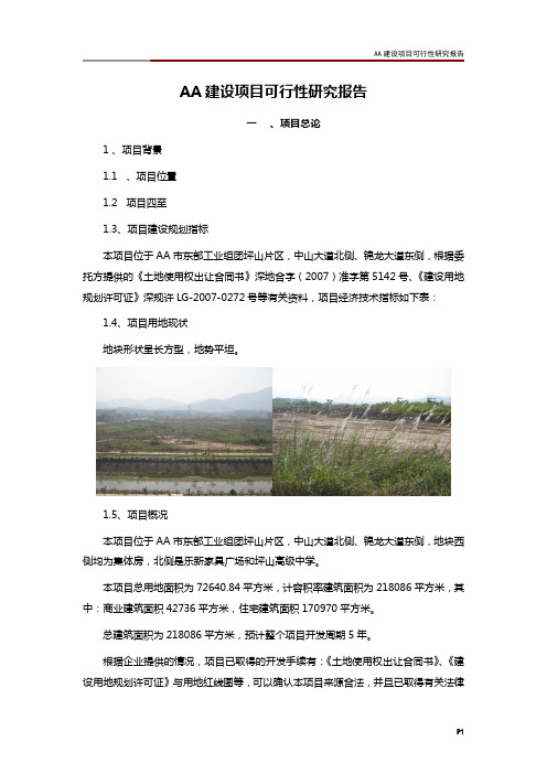 AA建设项目可行性研究报告