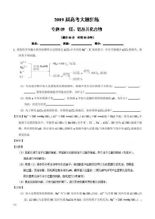 【化学备考】2019年高考大题狂练专题09 镁、铝及其化合物含解析