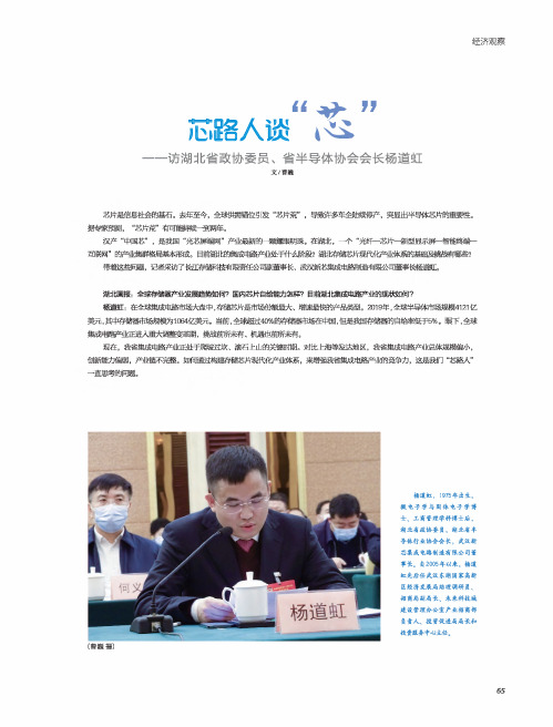 芯路人谈“芯”——访湖北省政协委员、省半导体协会会长杨道虹