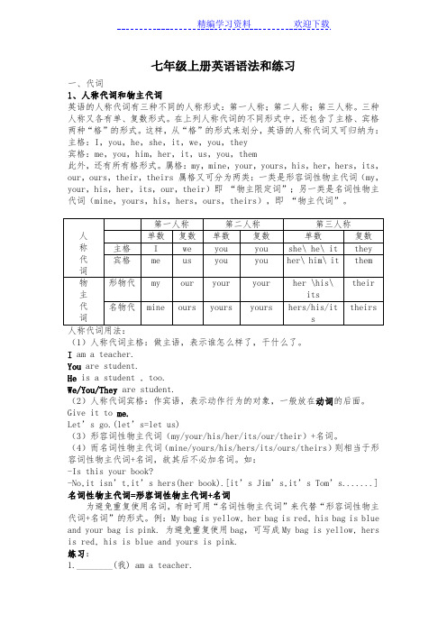 人教版七年级上册英语语法和练习