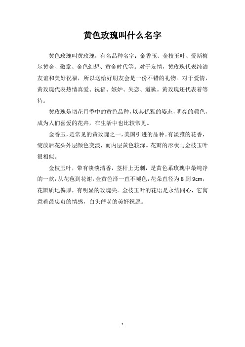 黄色玫瑰叫什么名字