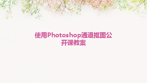 使用Photoshop通道抠图公开课教案