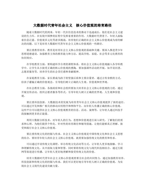 大数据时代青年社会主义  核心价值观的培育路径