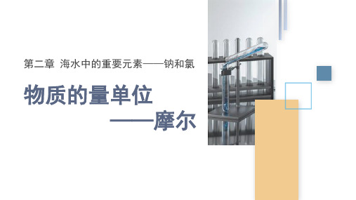 2.3 课时1 物质的量单位——摩尔 课件(共26张ppt) 高一化学人教版(2019)必修一