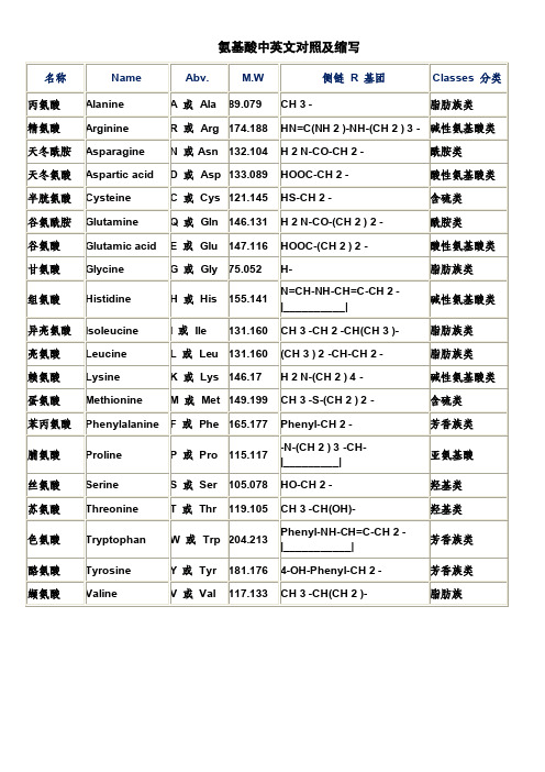 氨基酸中英文对照及缩写