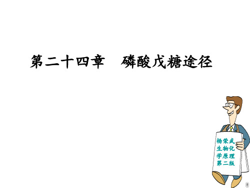 (杨荣武)生物竞赛讲义-生物化学-24磷酸戊糖途径-《生物化学原理(第二版)(代谢生物化学)》(23