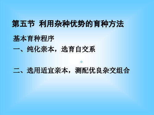 第五节利用杂种优势的育种方法