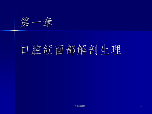 口腔颌面部解剖ppt课件