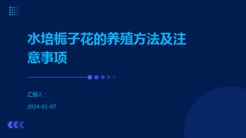 水培栀子花的养殖方法及注意事项