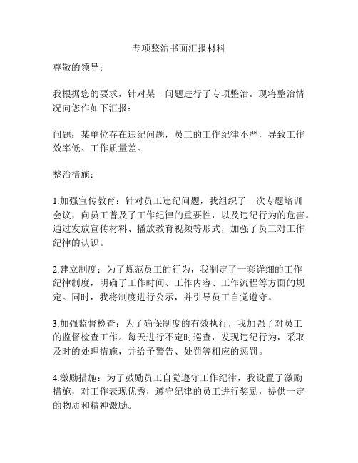 专项整治书面汇报材料