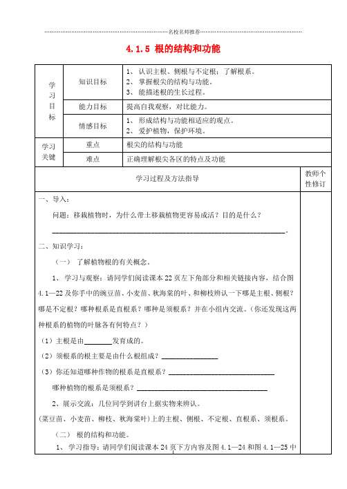 八年级生物上册 4.1.5 根的结构和功能名师精编学案(无答案) 济南版