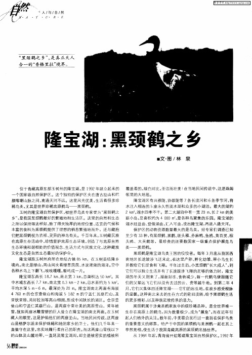 隆宝湖:黑颈鹤之乡