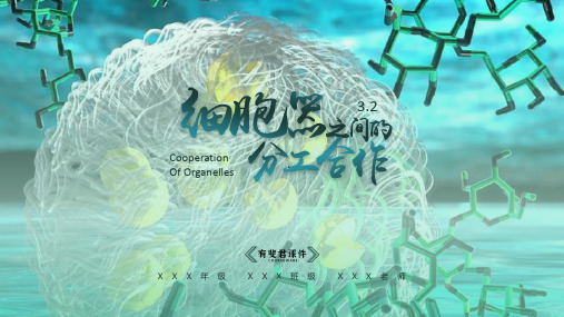 3.2 细胞器之间的分工合作教学课件【新教材】人教版(2019)高中生物必修一