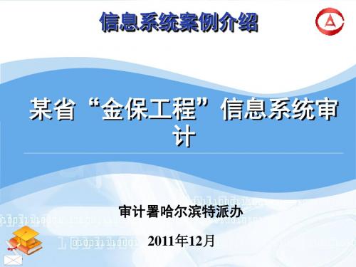 某省“金保工程”信息系统审计案例 信息系统案例介绍