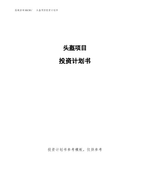 头盔项目投资计划书2020