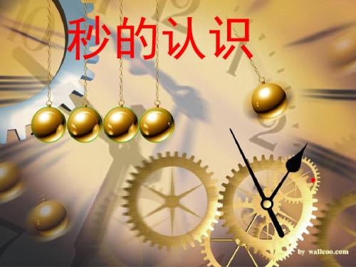 秒的认识PPT