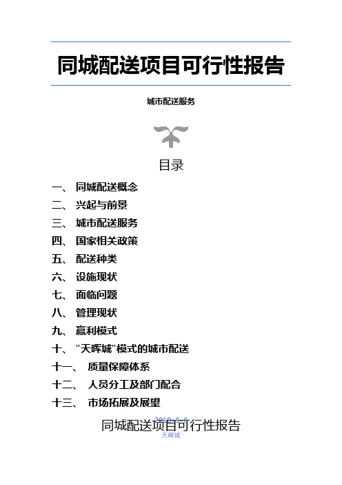 同城配送项目可行性实施报告