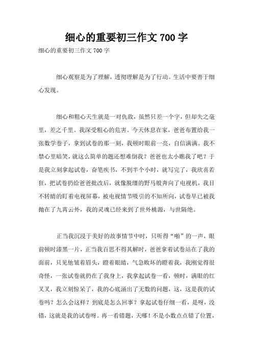 细心的重要初三作文700字