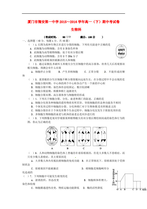 福建省厦门市高一生物下学期期中试题