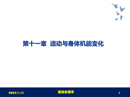 运动生理学课件第十一章运动与身体机能变化