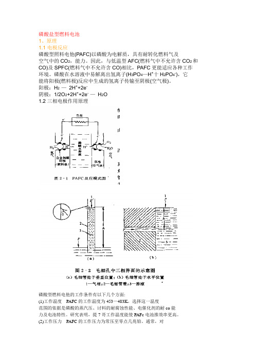 磷酸盐型燃料电池