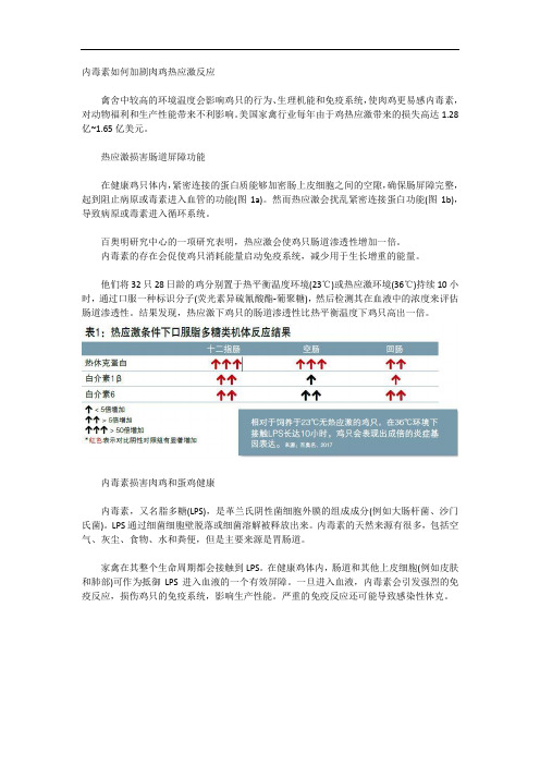 内毒素如何加剧肉鸡热应激反应