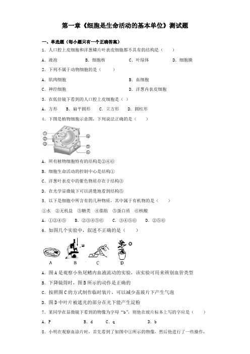 人教版生物七年级上第二单元第一章《细胞是生命活动的基本单位》测试题(含答案)