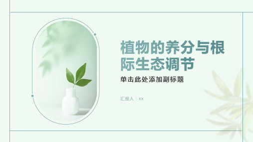 植物的养分与根际生态调节