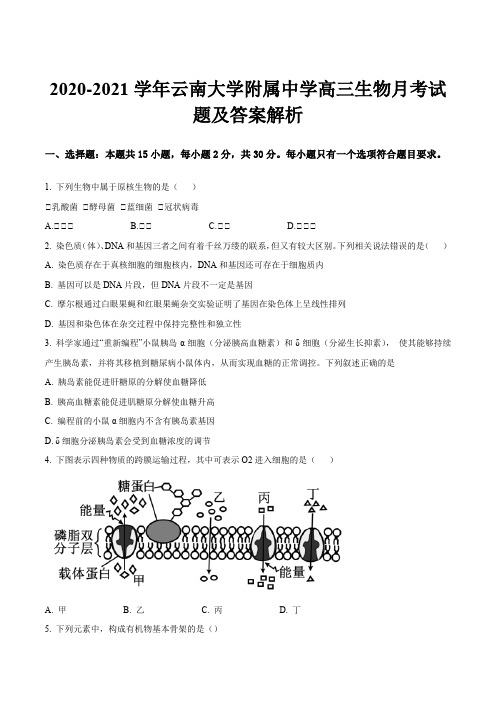 2020-2021学年云南大学附属中学高三生物月考试题及答案解析