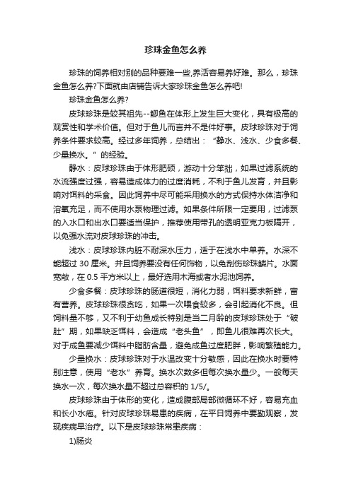 珍珠金鱼怎么养