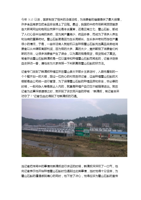 记者采访霍山石斛老农韩清叙 揭密真假枫斗玄机