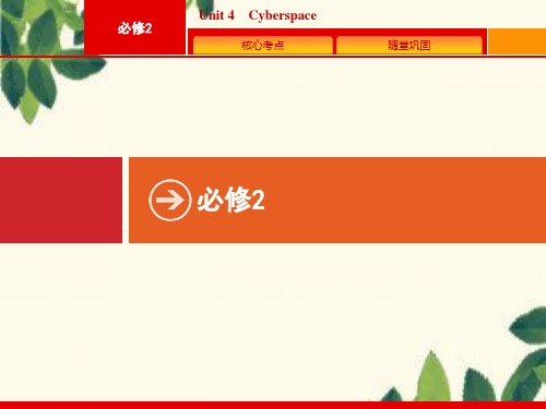 2020版高考英语北师大版一轮课件:必修2 Unit 4 Cyberspace