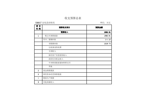 收支预算总表