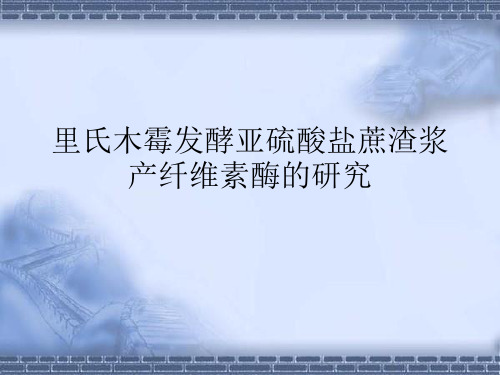 里氏木霉发酵亚硫酸盐蔗渣浆产纤维素酶的研究剖析