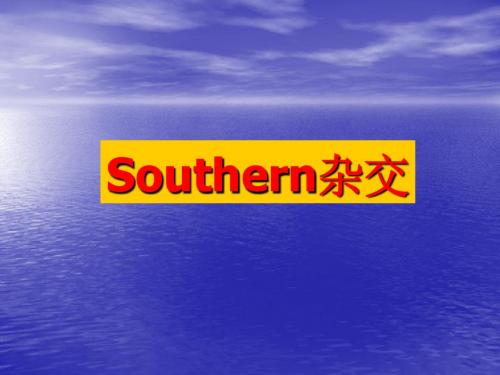 Southern杂交