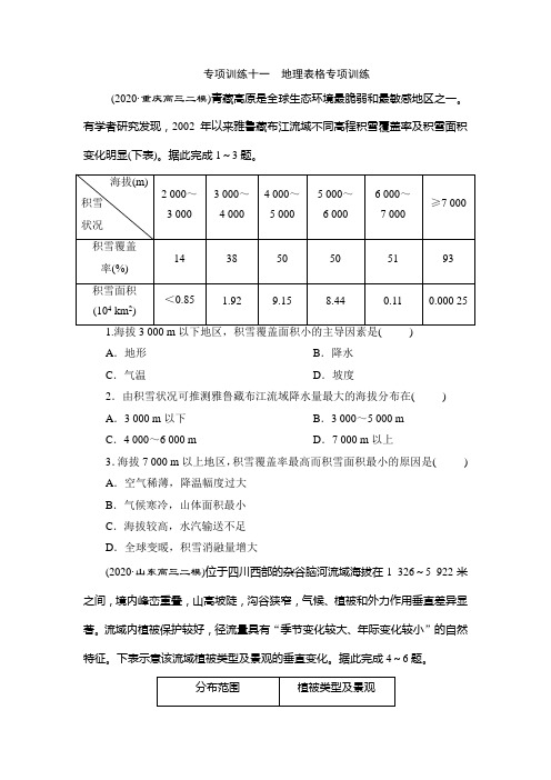 11 专项训练十一 地理表格专项训练