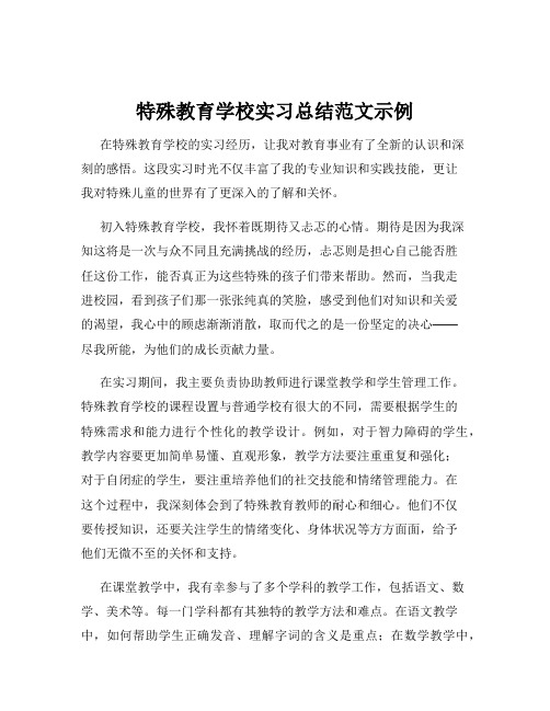 特殊教育学校实习总结范文示例