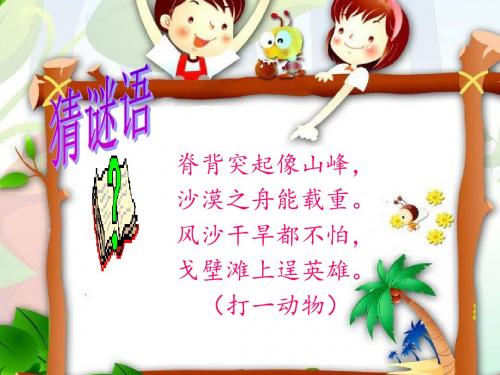 《找骆驼 》课件.ppt