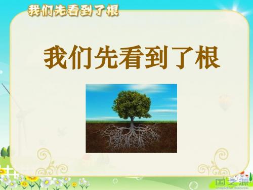 《我们先看到了根》植物的生长变化PPT(上课用)2