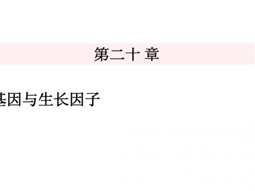 第二十章 癌基因、抑癌基因与生长因子