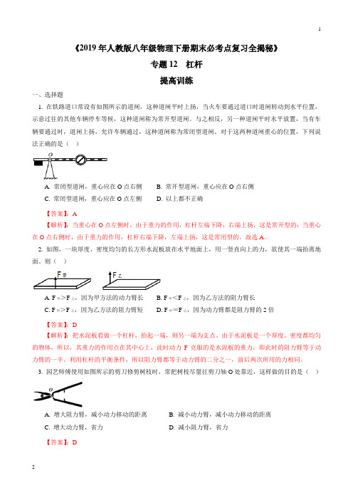 专题12 杠杆(提高训练)-2019年人教版八年级下物理期末复习必考点全揭秘(解析版)