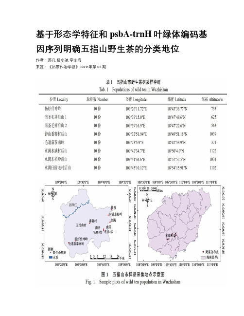 基于形态学特征和psbA-trnH叶绿体编码基因序列明确五指山野生茶的分类地位