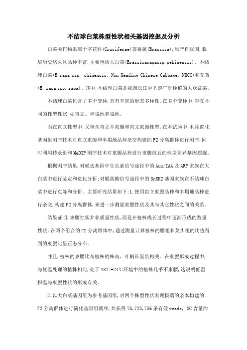 不结球白菜株型性状相关基因挖掘及分析