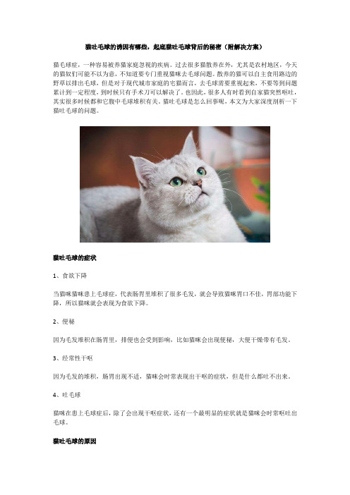 猫吐毛球的诱因有哪些,起底猫吐毛球背后的秘密(附解决方案)