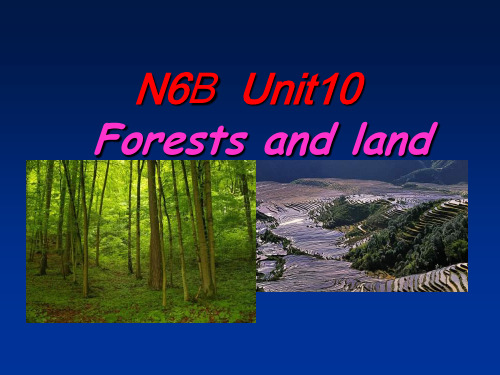 牛津上海版六下《Unit 10 Forests and land》ppt课件